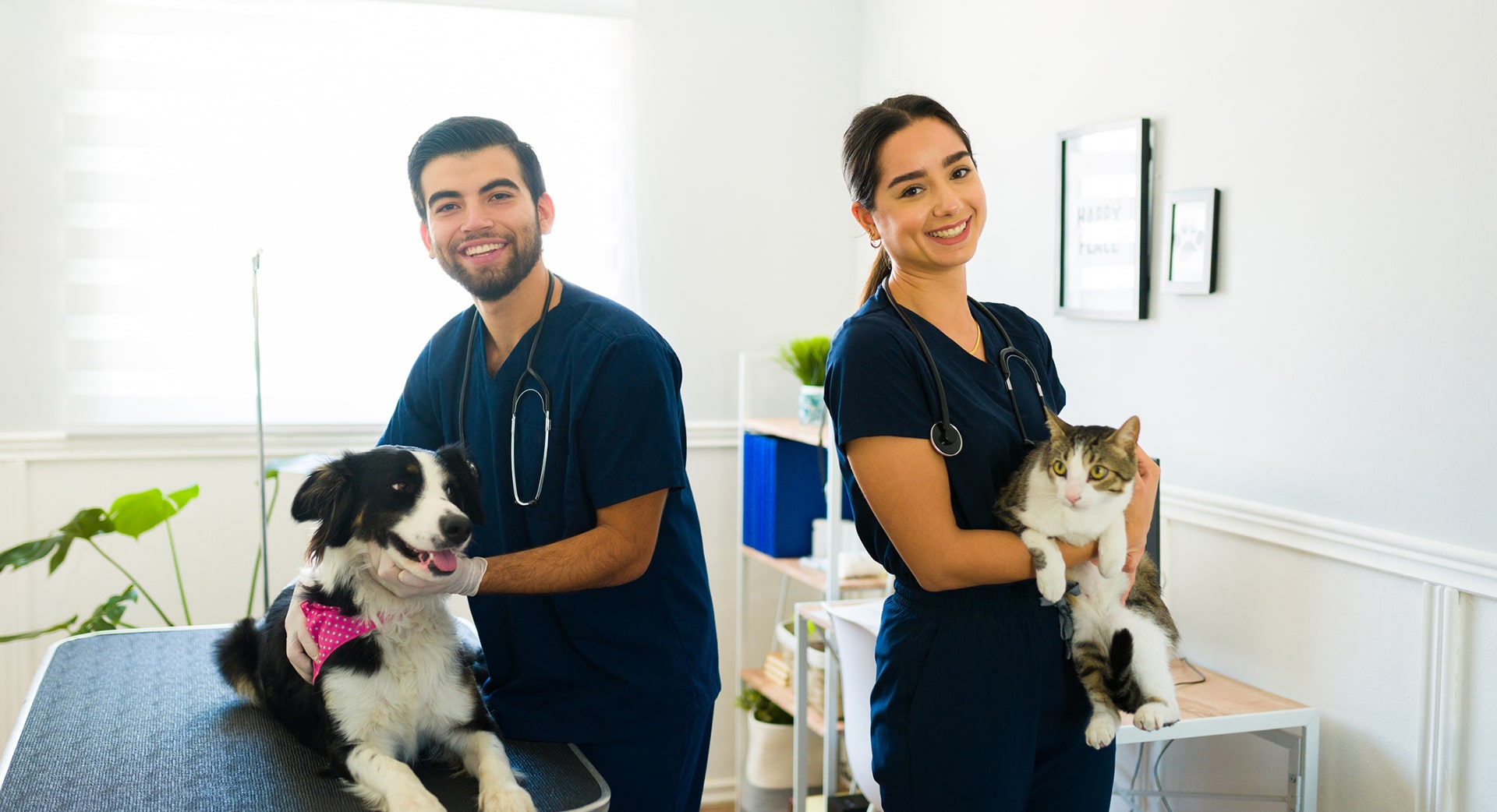 Compassionate veterinary doctors holding pet dog and pet cat evaouating for aging