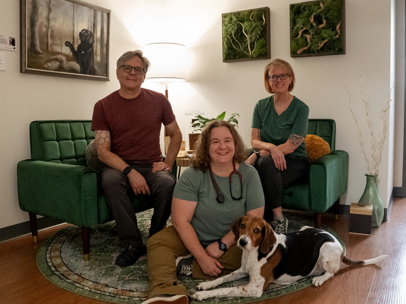 Tender caring vet techs caring for a cat