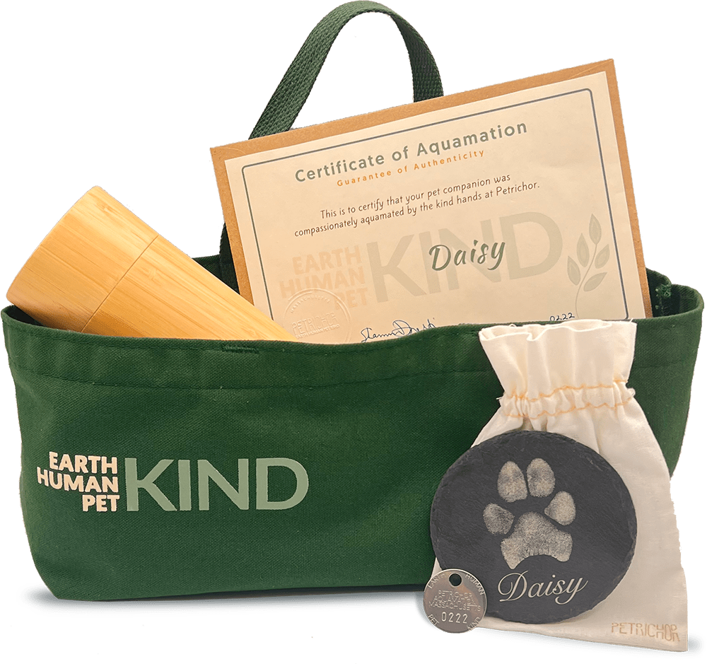 Carfully currialeted eco sustainable memorial items commemorating pet companion